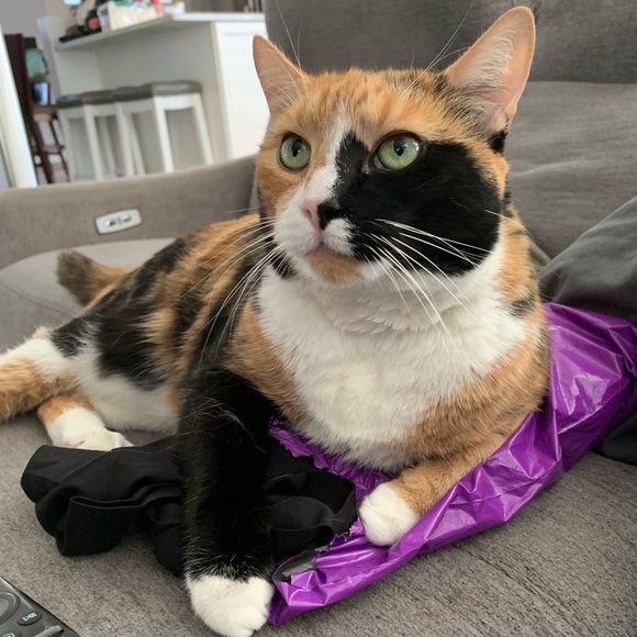 Meet your Posher, Janice - Picture 14 of 14